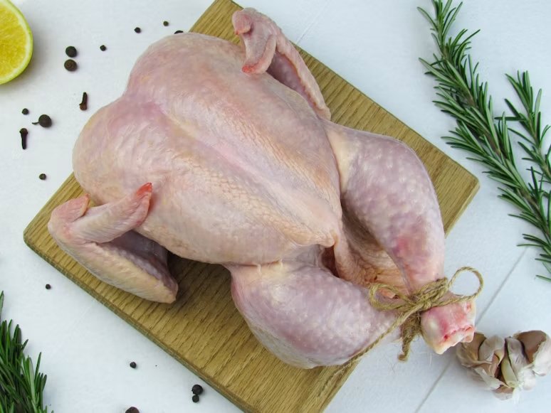 chicken 2 chicken 2